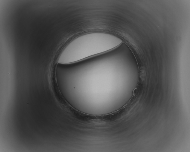 X0000101090544200806261104