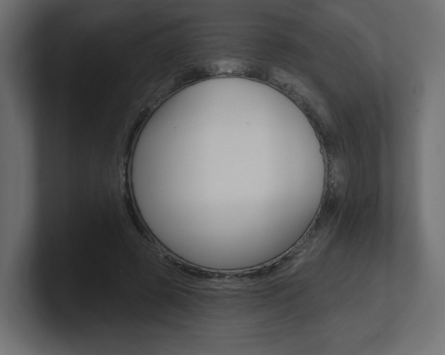 X0000101090545200806261104