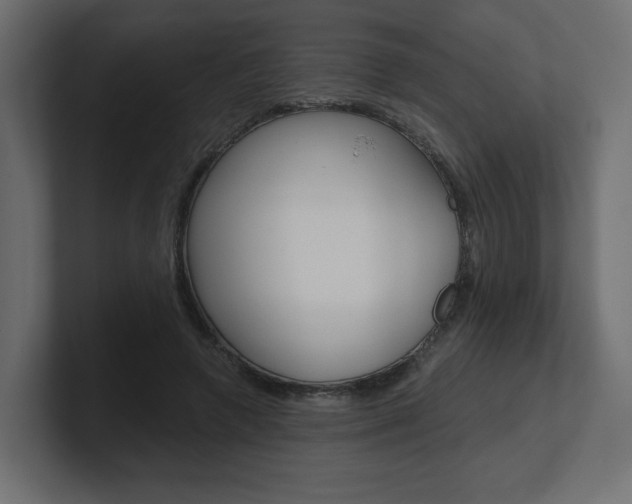 X0000101090546200806261104