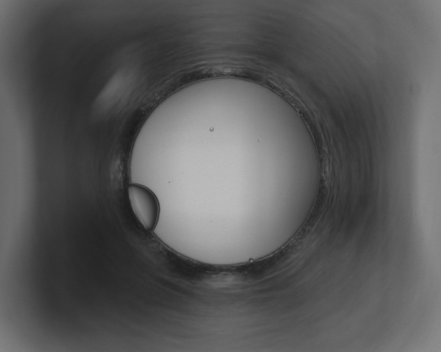 X0000101090551200806261104