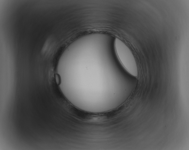 X0000101090555200806261104