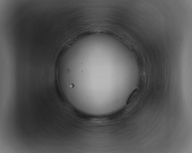 X0000101090556200806261104