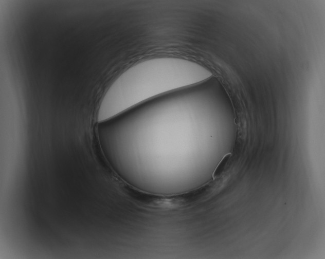 X0000101090558200806261104