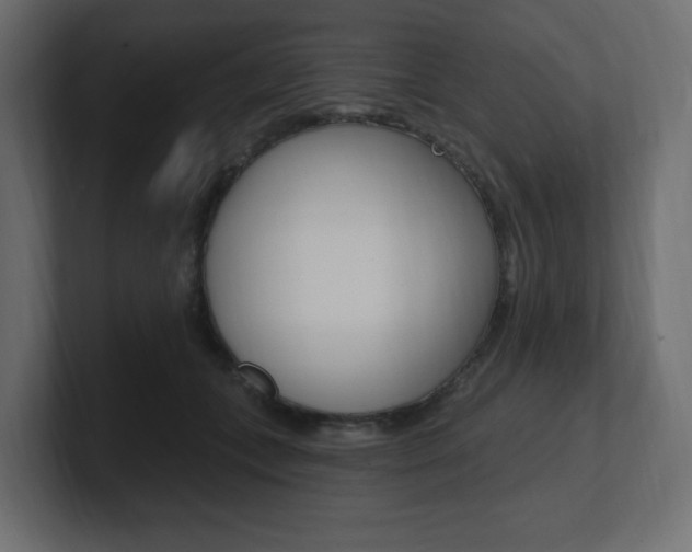 X0000101090559200806261104