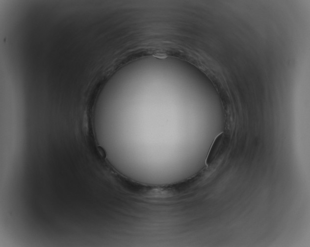 X0000101090562200806261104