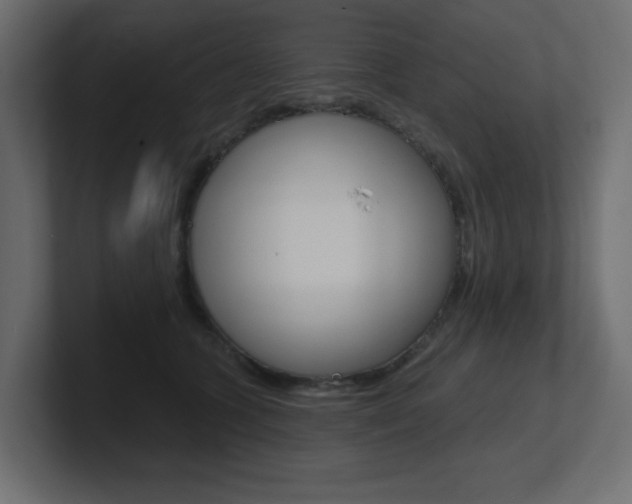 X0000101090563200806261104