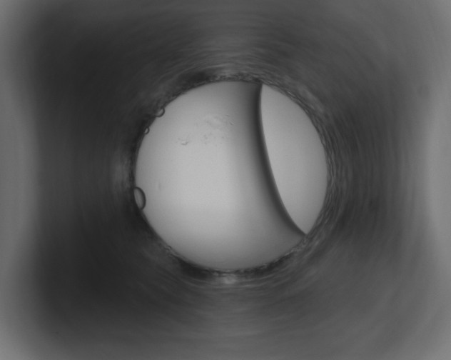 X0000101090565200806261104