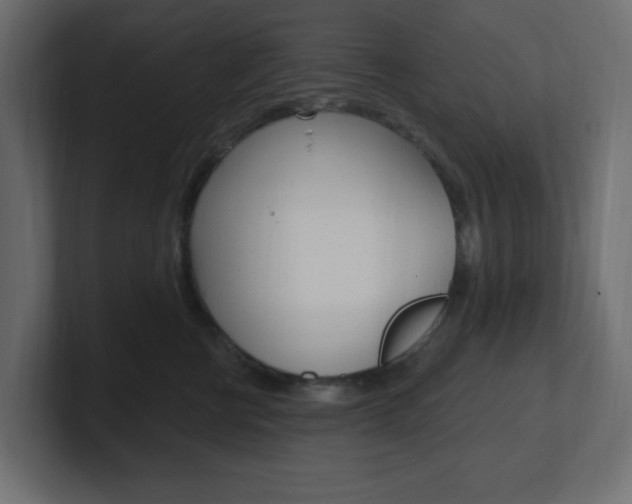 X0000101090570200806261104