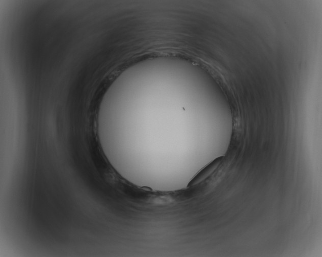 X0000101090572200806261104
