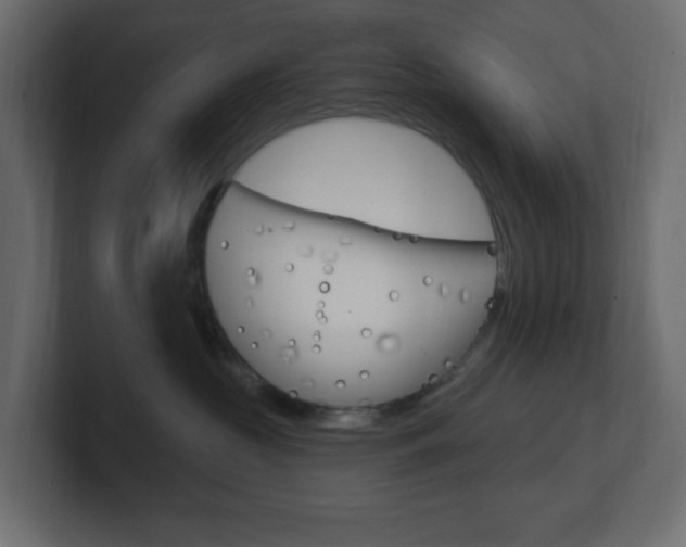 X0000101090573200806261104