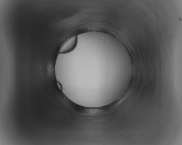 X0000101090575200806261104