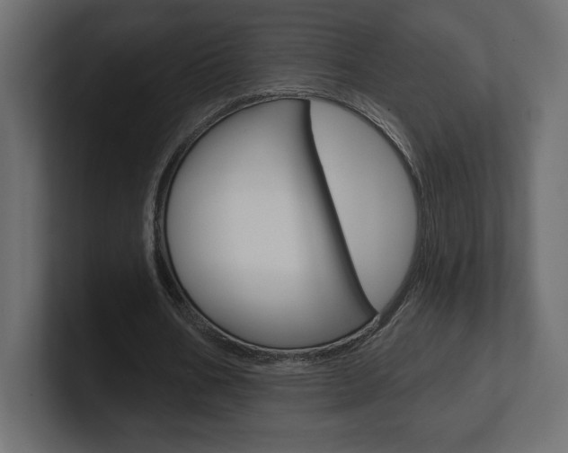 X0000101090578200806261104