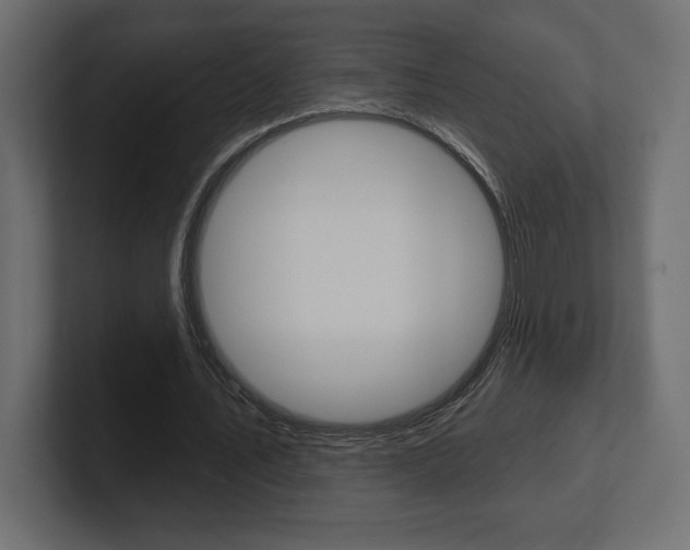 X0000101090579200806261104