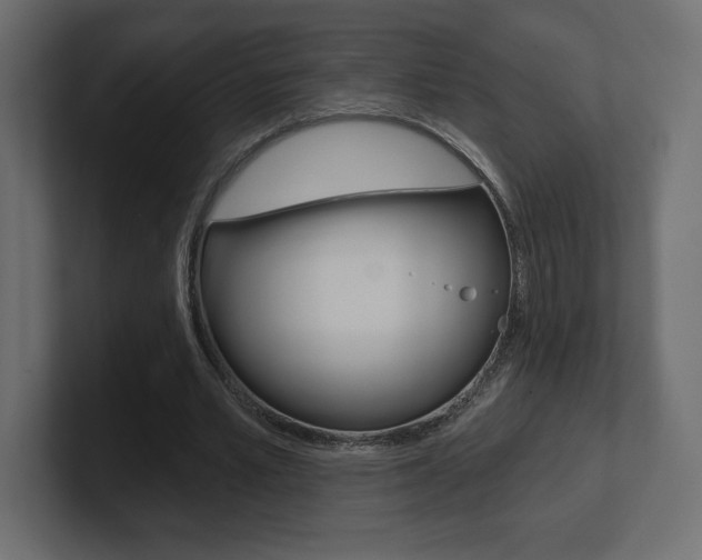 X0000101090581200806261104