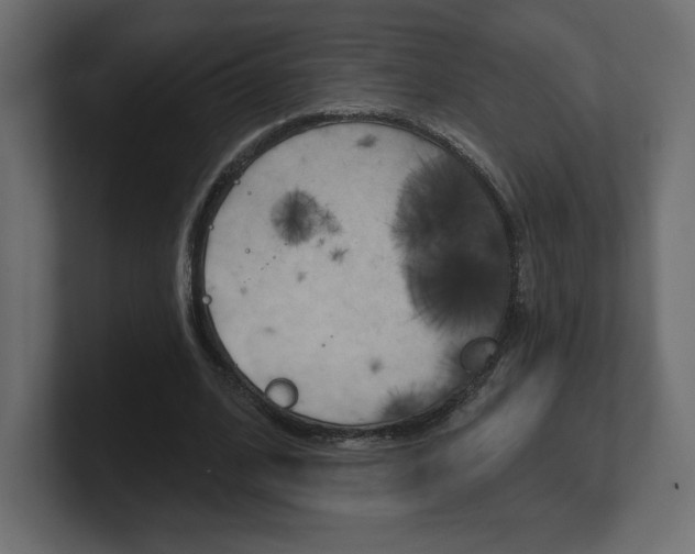 X0000101090584200806261104