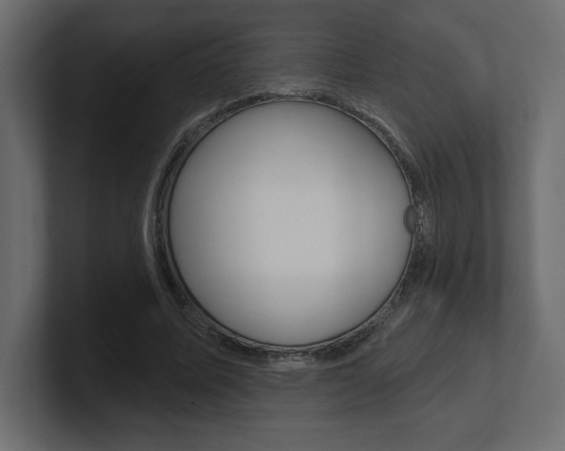 X0000101090587200806261104