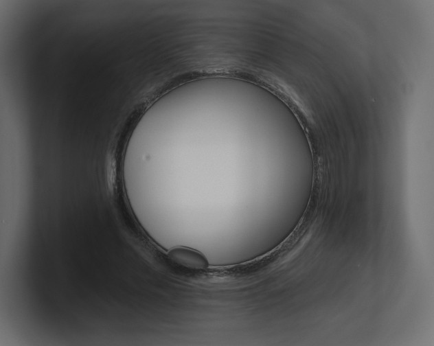 X0000101090589200806261104