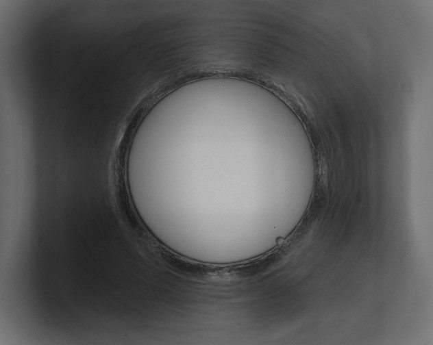 X0000101090591200806261104