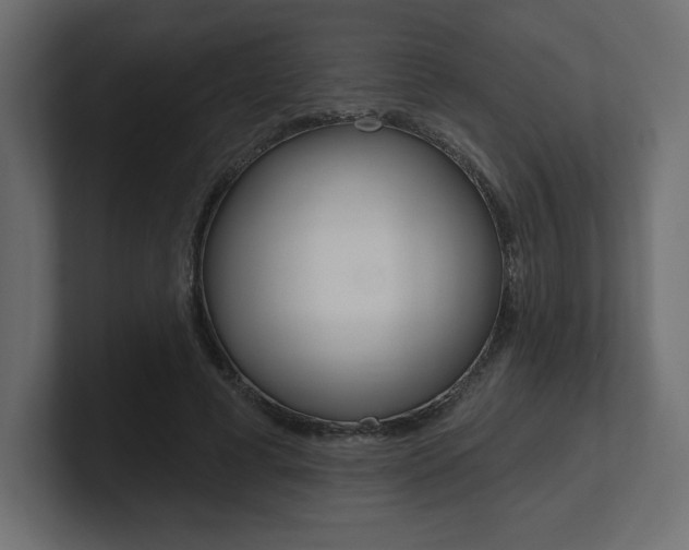 X0000101090593200806261104