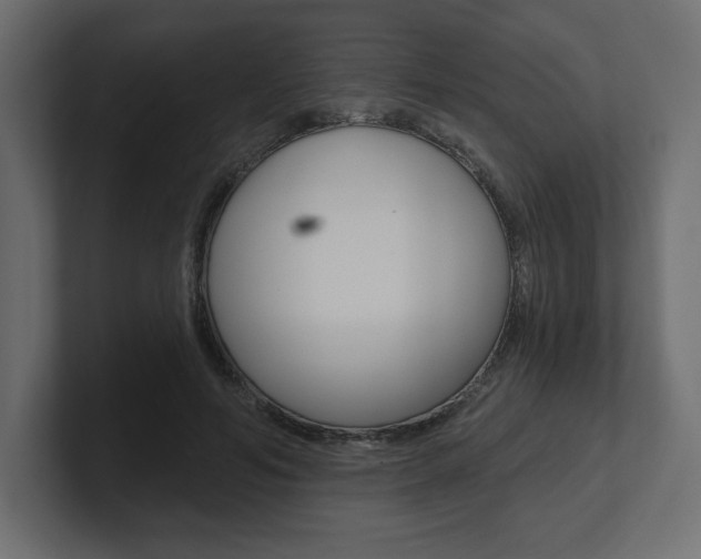 X0000101090594200806261104