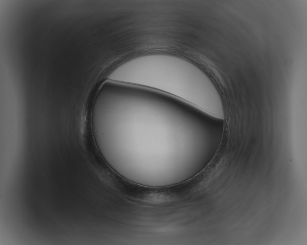 X0000101090596200806261104
