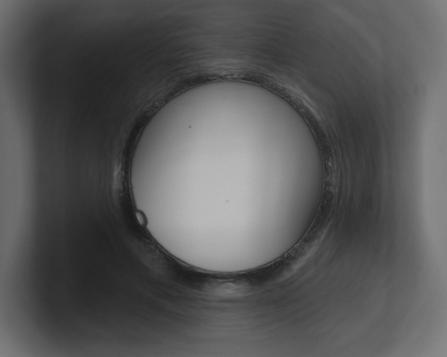 X0000101090597200806261104