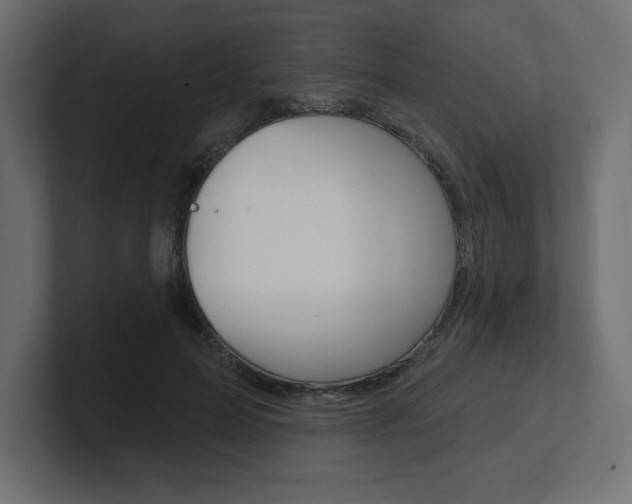 X0000101090599200806261104