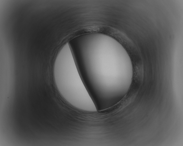 X0000101090600200806261104