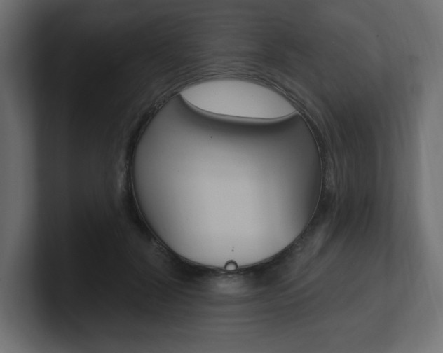 X0000101090604200806261103