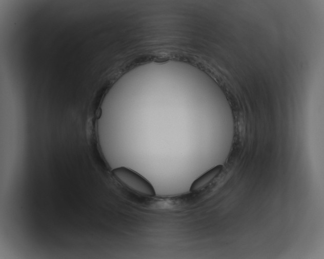X0000101090611200806261103