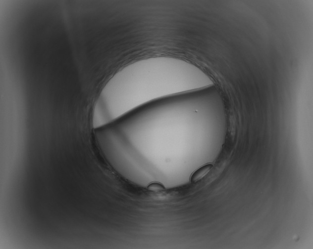 X0000101090613200806261103