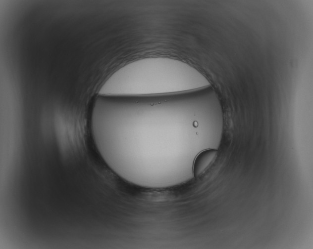 X0000101090615200806261103