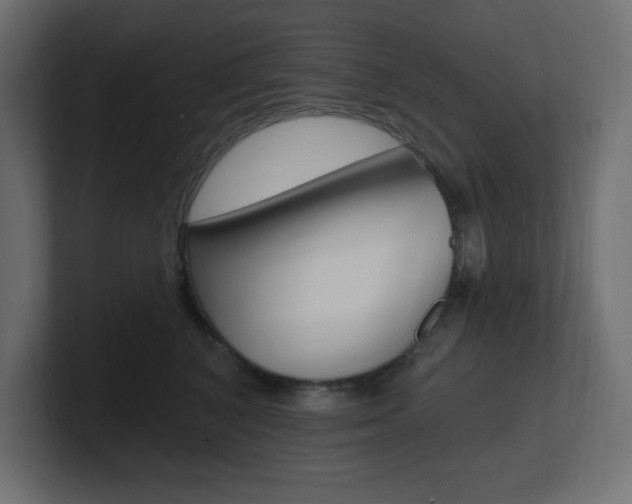 X0000101090616200806261103