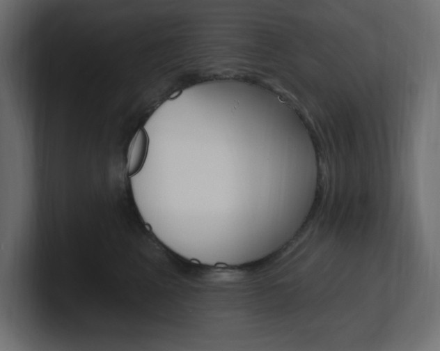 X0000101090617200806261103
