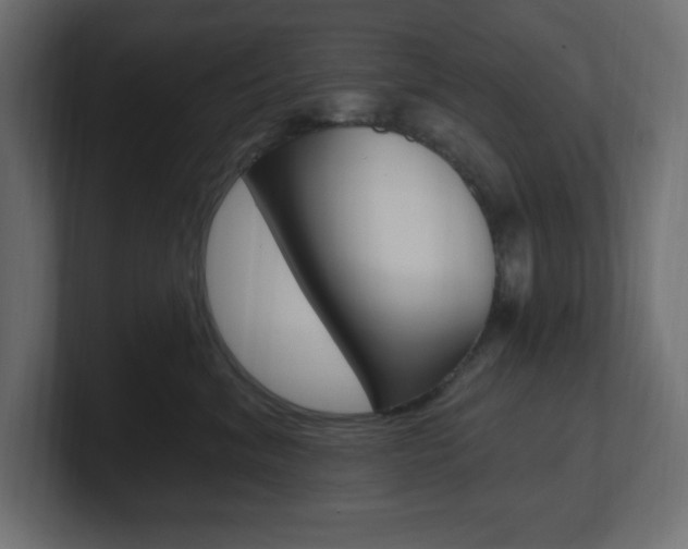 X0000101090620200806261103