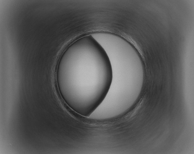 X0000101090625200806261103