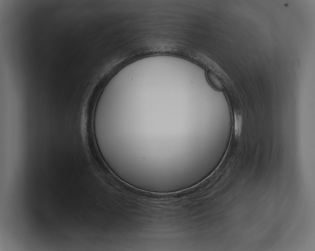X0000101090627200806261103