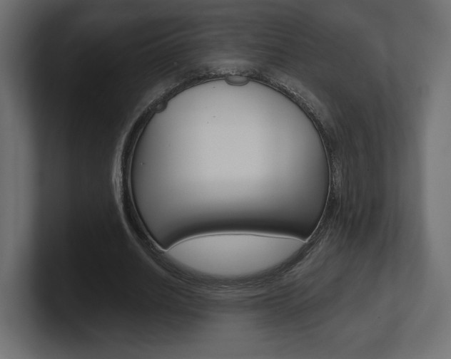X0000101090630200806261103