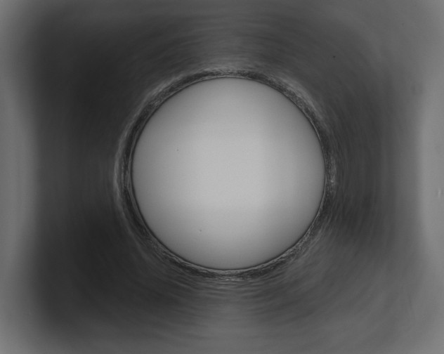 X0000101090636200806261103