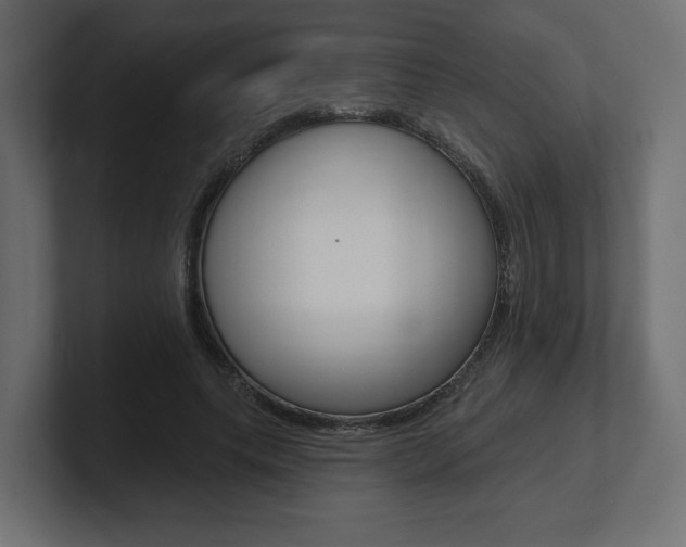 X0000101090639200806261103