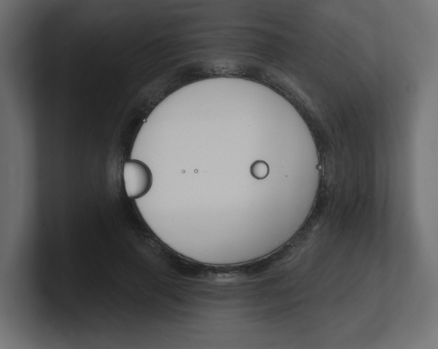 X0000101090645200806261103