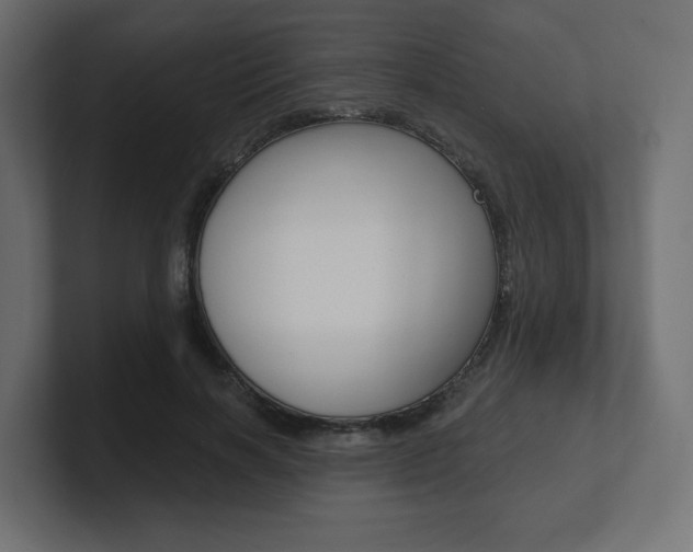 X0000101090646200806261103