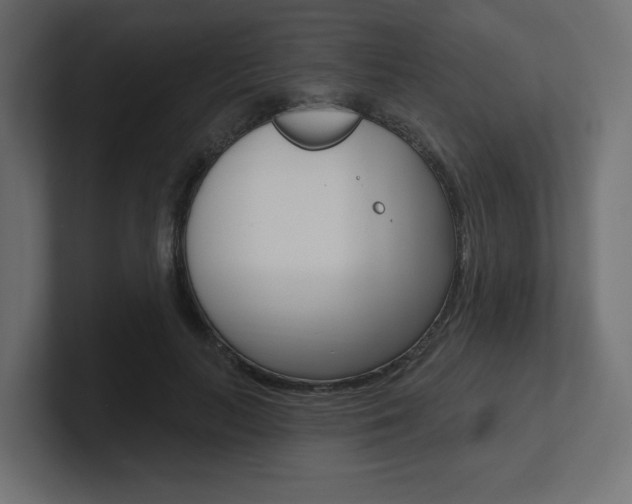 X0000101090647200806261103