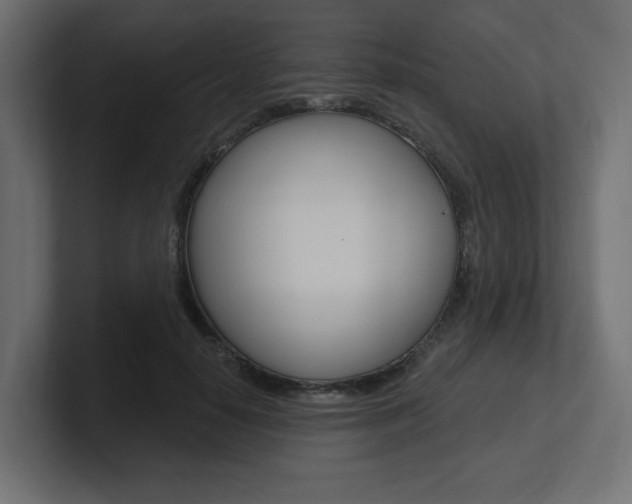 X0000101090650200806261103