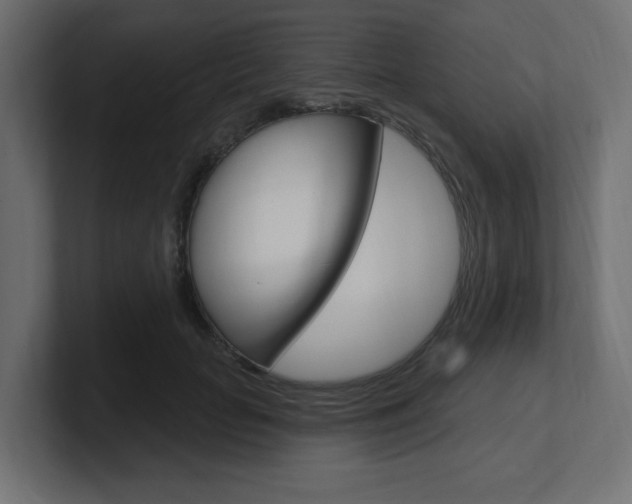 X0000101090653200806261103