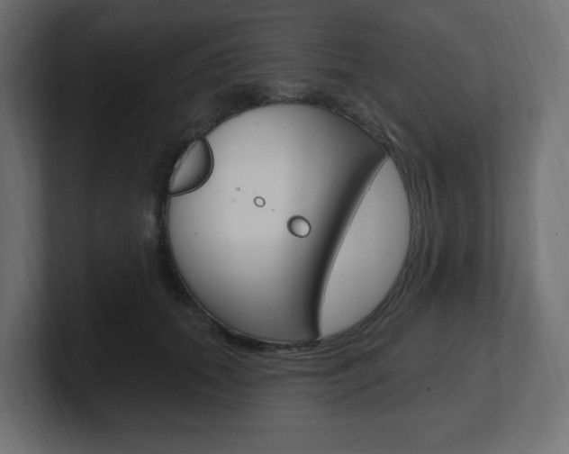 X0000101090655200806261103