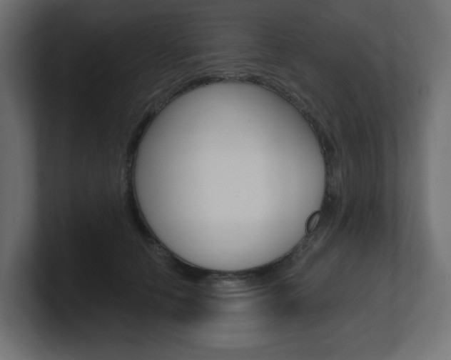 X0000101090658200806261103
