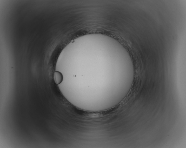 X0000101090659200806261103