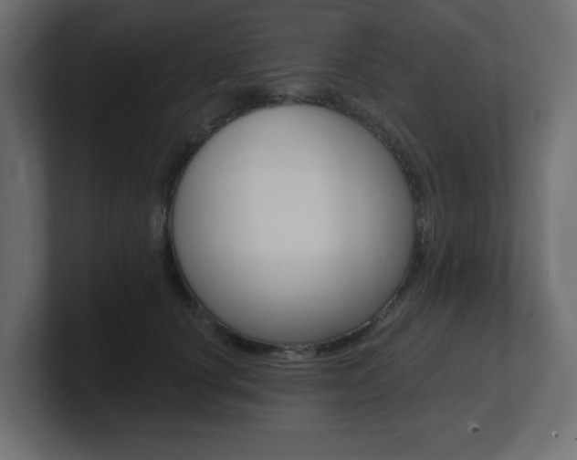 X0000101090660200806261103