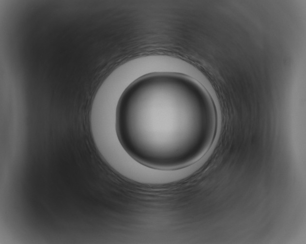 X0000101090661200806261103